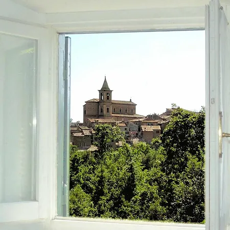 Montecasciano Tulipano *