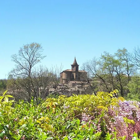 Montecasciano Tulipano *
