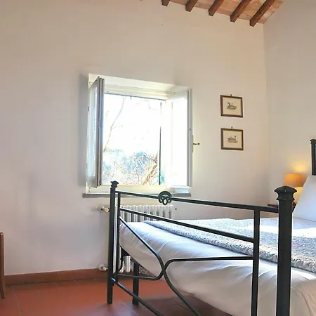 Montecasciano Tulipano *