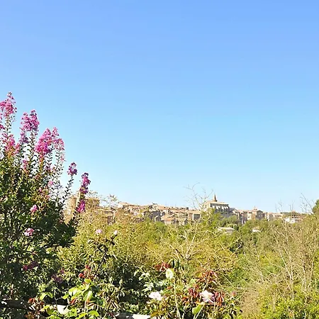 Montecasciano Tulipano * Capranica