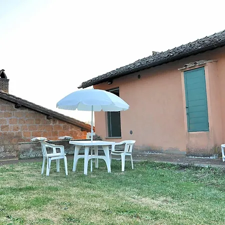 Montecasciano Tulipano *