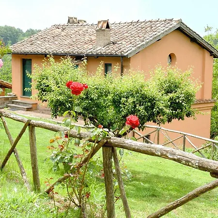 Montecasciano - Tulipano Capranica