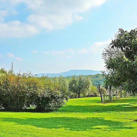 Montecasciano Tulipano Apartment Capranica